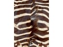 Vintage Felted Zebra Hide Skin Rug 68' X 110' With Tail