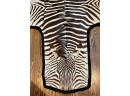 Vintage Felted Zebra Skin Hide Rug - 75' X 110' With Tail