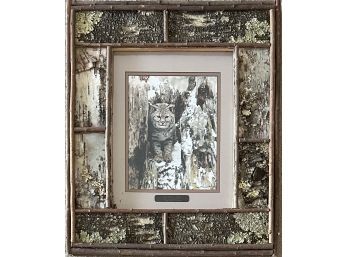 Catoflage By Tom Mussehl Framed Photograph Print In Genuine Bark & Branch Frame
