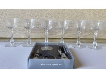 (6) Antique Crystal Etched 5' Cordial Glasses With Pier 1 Wine Bottle Opener Set New In Box