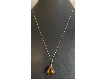 Delicate 14K Gold Necklace With Amber Pendant With Bug Inside