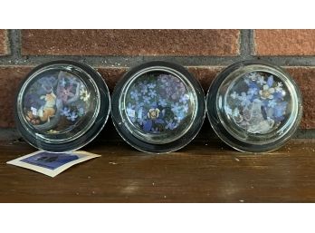 (3) Colorado Preserved Encased Wild Flower Paperweights With Quarts And Amethyst