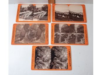 Stereoviews - Set Of Five - Bierstadt Watkins Glen