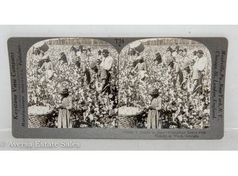 Stereoview - 'cotton Is King'