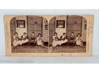 Stereoview - 'the Home Dog Show'