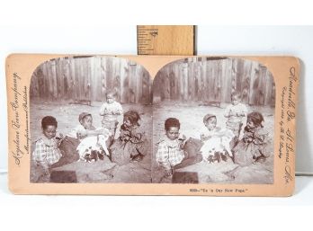 Stereoview - 'us And Our New Pups'