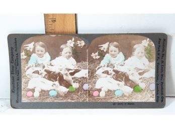 Stereoview - Hand Colored