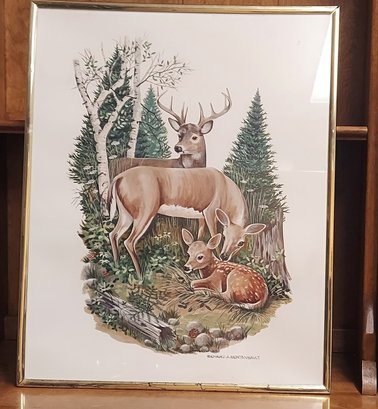 Lot 5-22 Deer Picture (tall Ind Rack)