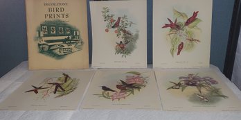 Lot 4-84  Five Vintage Bird Prints (tall Ind Rack)