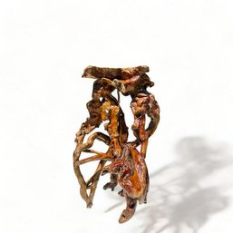 Chinese Qing Tree Root Scholar's Stand