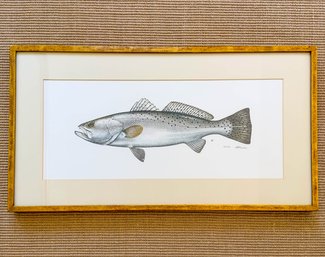 Sherman F. Denton, Limited Edition Fish Print. Signed And Numbered