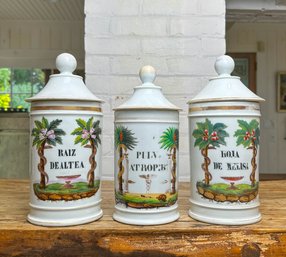 Antique French Porcelain Apothecary Jars Leaf Of Melissa, Healing Root,