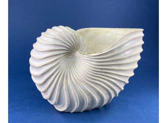 Sculptural Shell Object