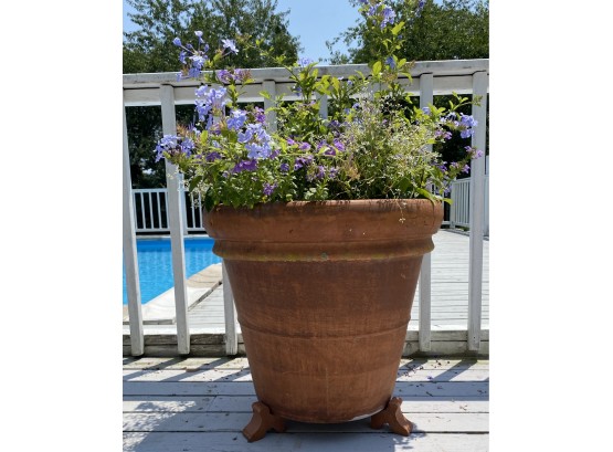 Pair Of 20 X 20 Inch Terracotta Planters (with Flowers)