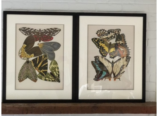 Butterfly Print Diptych In Black Frames