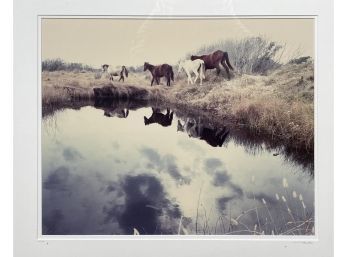 Limited Edition Signed, Numbered, Framed And Matted Photographic Print, 10/100 Wild Horses John Todaro