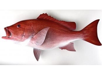 Huge  Red Snapper Taxidermy Trophy Fish