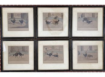 Series Of 6 Proofs Of Engravings By C.R. Stock - Cockfighting