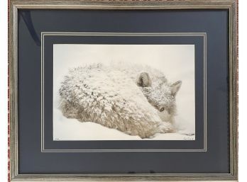 Signed & Numbered Photographic Print Of Wolf In Snow, By Gary Cranson - Framed And Matted