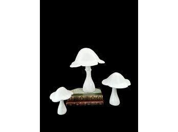 Decorative Mushroom Group