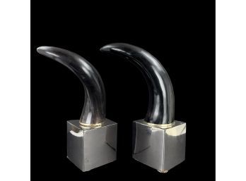Natural Horns Mounted On Silver Metal Boxes