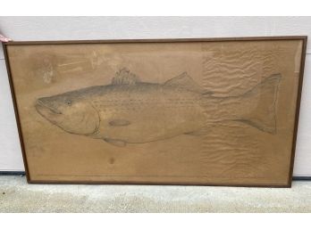 Graphite On Kraft Paper - Fish Caught By Peter Larkin, Drawing By Nelson C. White