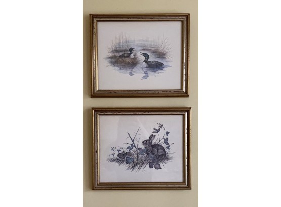 Pair Of Prints In Gilded Wood Frame Of Ducks And Rabbits