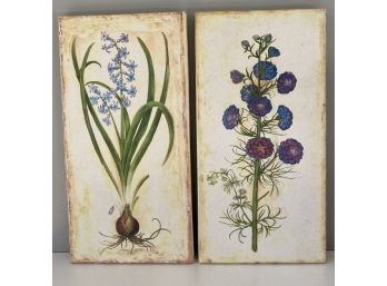 W - Two Botanical Painting Like Prints On Wood From Rum Runner