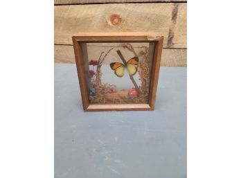 Butterfly Art Enclosure