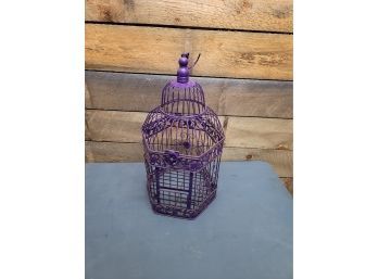 Purple Bird Cage