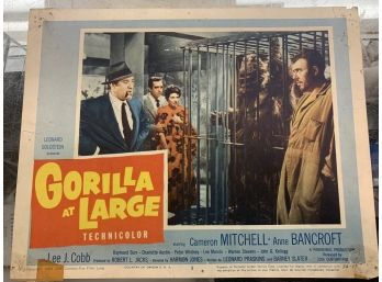 Original Movie Lobby Card, C1954 Leonard Goldstein, Gorilla At Large (127)