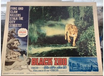 Original Movie Lobby Card, C1963 Black Zoo (134)
