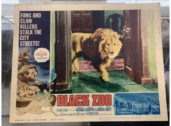 Original Movie Lobby Card, C1963 Black Zoo (129)