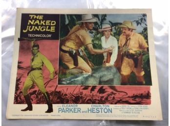Original Movie Lobby Card, C1953 The Naked Jungle (361)