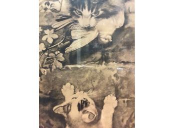 Antique ETCHING - Pussy Come Up, Is Signed
