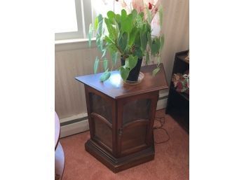 Nice Occasional Table, Opens In Front, Glass Front, Sides, Comes With The Plant Shown