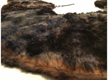 Vintage Beaver Fur Collar