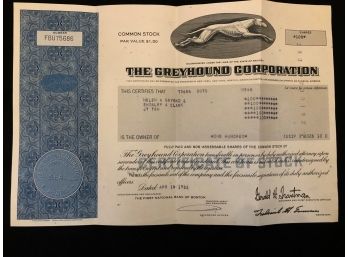 Greyhound Stock Certificate C1982 - Shippable