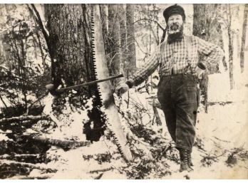 Vintage Logging Photograph