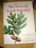 More Than A Tree-o Of Tree Books