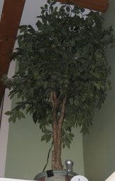 Large Silk Leaf And Wood Ficus Tree With Mini Spot Light