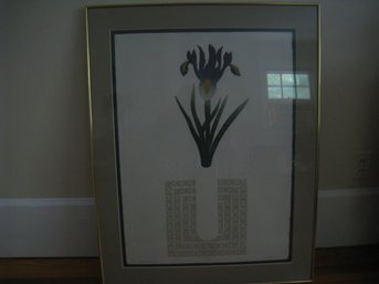 Iris Plant Botanical  Print-Wall Art