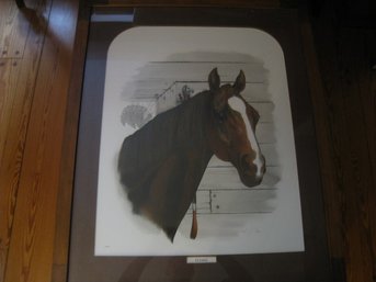 'Stymie'  Horse Portrait By Franklyn Stokes