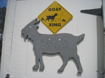Got Goats?
