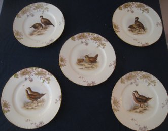 Set Of 5 Vintage Bird Plates