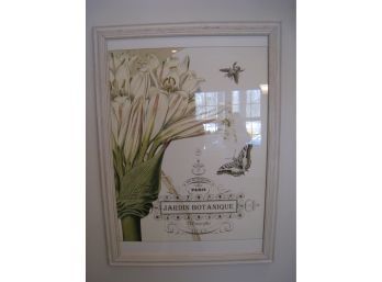 Pair Of Jardin Botanique Framed Prints