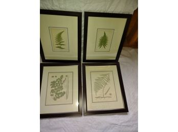Set Of 4 Botanical Prints