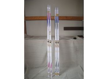 Cross Country Skis
