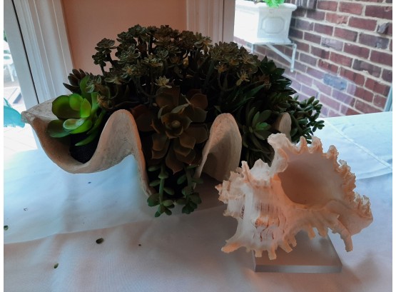 Giant Seashell With Faux Succulents,  Large Conch Seashell On Base