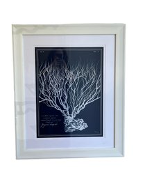 Blue And White Coral Print In White Lacquered Frame SID